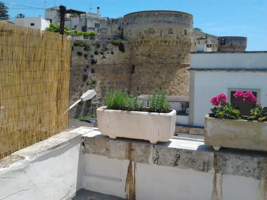 Mediterraneo *