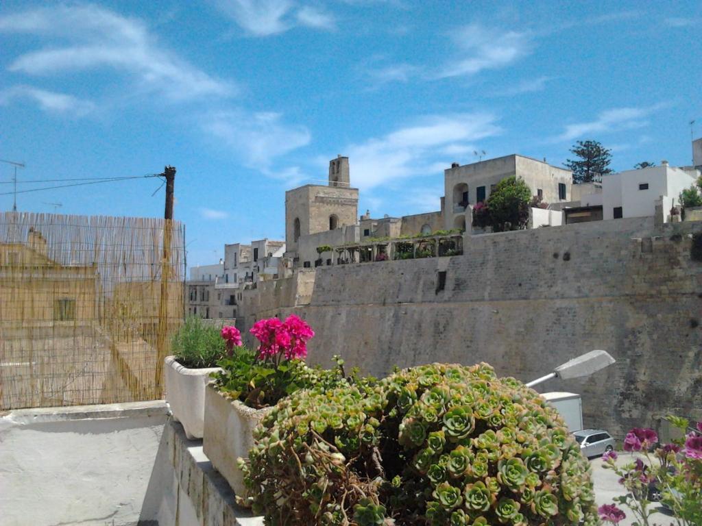 Mediterraneo