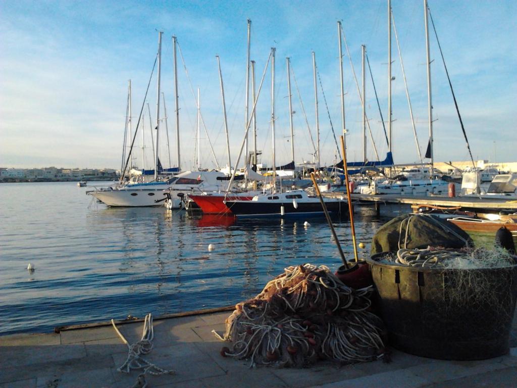 Mediterraneo *
